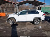 Toyota Rav4 Xle/Woodland Edition 4T3RWRFV9RU161596 fotografie