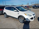 Ford Escape Sel 1FMCU0HX2DUC91985 fotografie