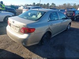 Miniaturka zdjęcia 4