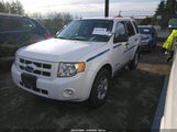 Ford Escape Hybrid 1FMCU5K38AKD01607 снимка