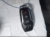 Miniaturka zdjęcia 11