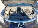 Miniaturka zdjęcia 10