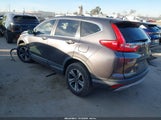 Honda Cr-V Lx 2HKRW5H38HH401196 снимка