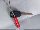 Miniaturka zdjęcia 11