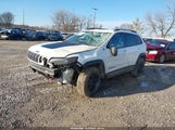 Jeep Cherokee Trailhawk 4X4 1C4PJMBN9LD612562 снимка