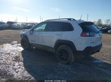 Jeep Cherokee Trailhawk 4X4 1C4PJMBN9LD612562 снимка