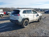 Jeep Cherokee Trailhawk 4X4 1C4PJMBN9LD612562 снимка