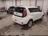 Miniaturka zdjęcia 4