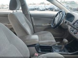Miniaturka zdjęcia 5