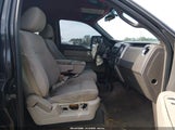 Ford F-150 Fx2 Sport/Xl/Xlt 1FTEW1C89AFC53425 fotografie