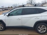 Hyundai Tucson Sel KM8JBCAE8NU168913 снимка
