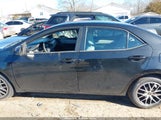 Toyota Corolla Le Plus 2T1BURHE0GC592453 снимка
