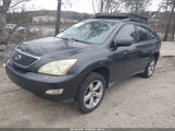 Lexus Rx 330 JTJHA31U940046061 снимка