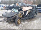Miniaturka zdjęcia 2