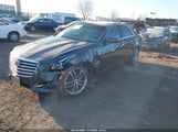 Miniaturka zdjęcia 2