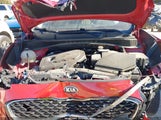Kia Sportage Ex KNDPN3AC6L7824865 снимка