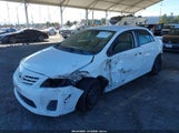 Miniaturka zdjęcia 2