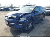 Mazda Cx-9 Touring JM3TB38V690179738 снимка