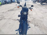 Harley-Davidson Fxlrs 1HD1YWZ29PB066175 снимка