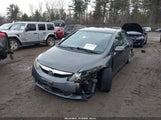 Honda Civic Lx 2HGFA1F52BH309503 снимка