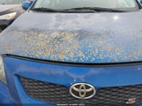 Toyota Corolla S 1NXBU4EE4AZ319352 снимка