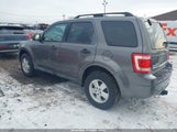 Ford Escape Xlt 1FMCU0D78CKA22695 fotografie