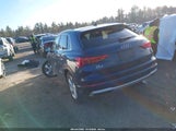 Miniaturka zdjęcia 3
