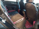 Miniaturka zdjęcia 8