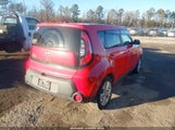 Miniaturka zdjęcia 4