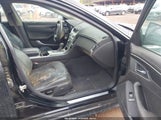 Miniaturka zdjęcia 5