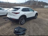 Mazda Cx-30 Preferred 3MVDMBDL6LM107463 снимка