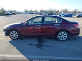Honda Accord 3.5 Ex-L 1HGCP36808A040433 fotografie