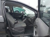 Miniaturka zdjęcia 5