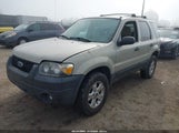 Ford Escape Xlt 1FMYU93175KC45689 снимка