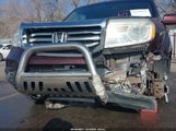 Miniaturka zdjęcia 6