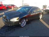 Nissan Maxima S/Sv 1N4AA5AP4CC851138 снимка