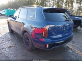 Kia Telluride Sx Prestige X-Pro 5XYP5DGC2RG472750 fotografie