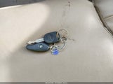 Miniaturka zdjęcia 11