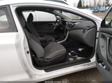 Miniaturka zdjęcia 5