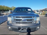 Ford F-150 Xlt 1FTFX1CF6DFD16890 photo