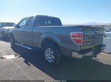 Ford F-150 Xlt 1FTFX1CF6DFD16890 fotografie