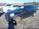 Miniaturka zdjęcia 2