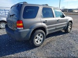 Ford Escape Xlt 1FMYU93125KC72881 снимка