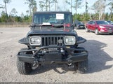Jeep Wrangler / Yj 2J4FY29T4LJ500614 fotografie