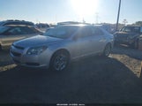 Chevrolet Malibu Ls 1G1ZB5E12BF362288 снимка