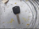 Miniaturka zdjęcia 11