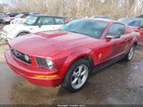 Ford Mustang V6 Deluxe/V6 Premium 1ZVFT80N975334873 photo