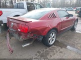 Ford Mustang V6 Deluxe/V6 Premium 1ZVFT80N975334873 photo