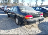 Miniaturka zdjęcia 3
