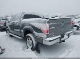 Ford F-150 Xlt 1FTFW1EF3DFC68040 снимка